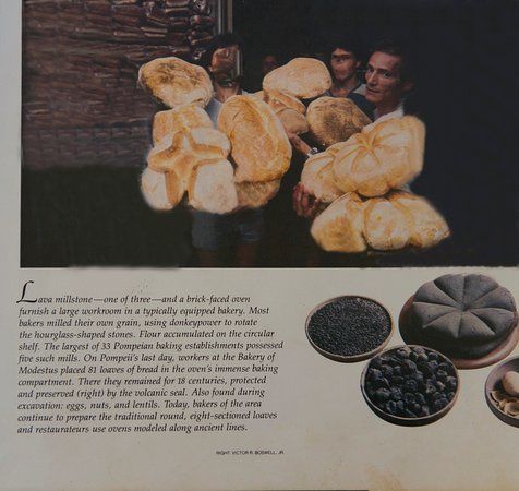 Vapoforno Fratelli Amato